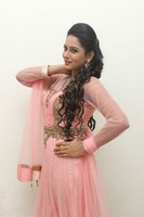 Himaja Photos at Shivam Audio Release